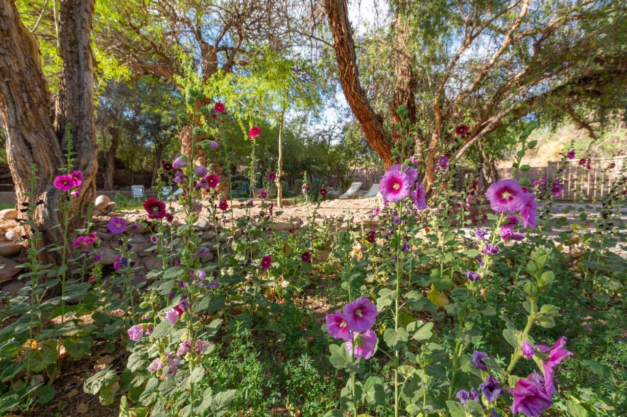 Casa Solcor Boutique Bed&Breakfast San Pedro de Atacama Exterior foto