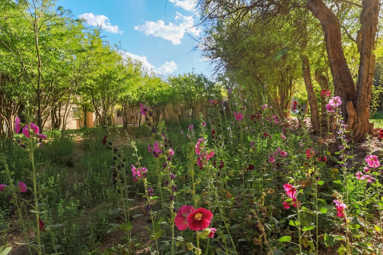 Casa Solcor Boutique Bed&Breakfast San Pedro de Atacama Exterior foto